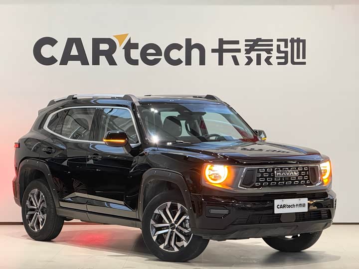 Фото 3 - Haval H-Dog