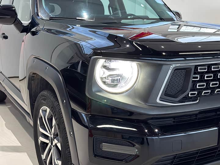 Фото 5 - Haval H-Dog