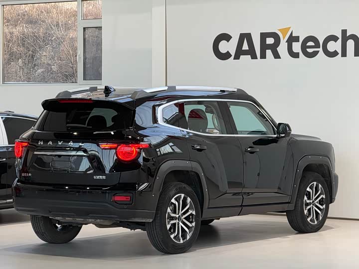 Фото 6 - Haval H-Dog