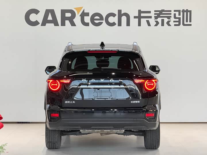 Фото 7 - Haval H-Dog