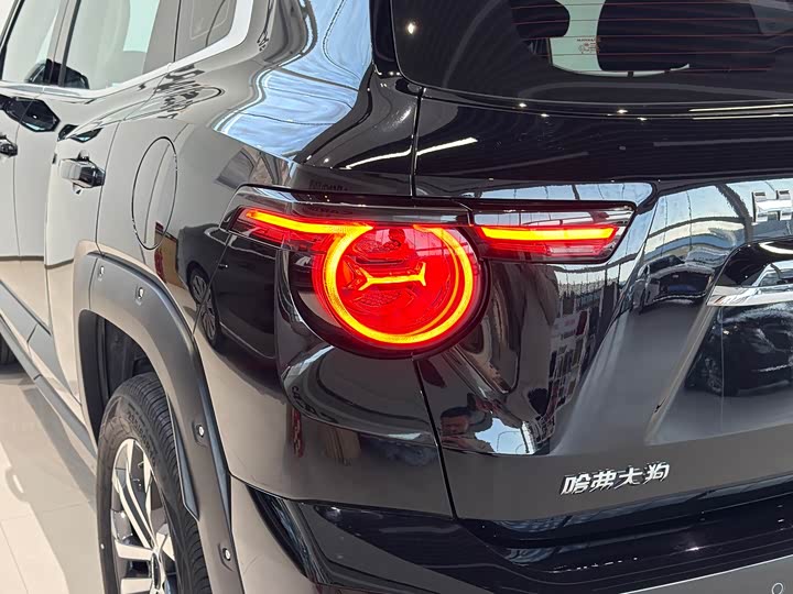 Фото 8 - Haval H-Dog