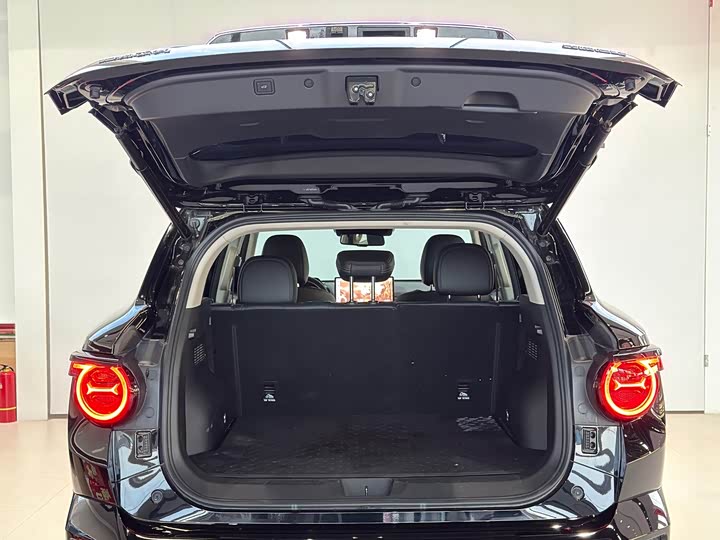 Фото 9 - Haval H-Dog