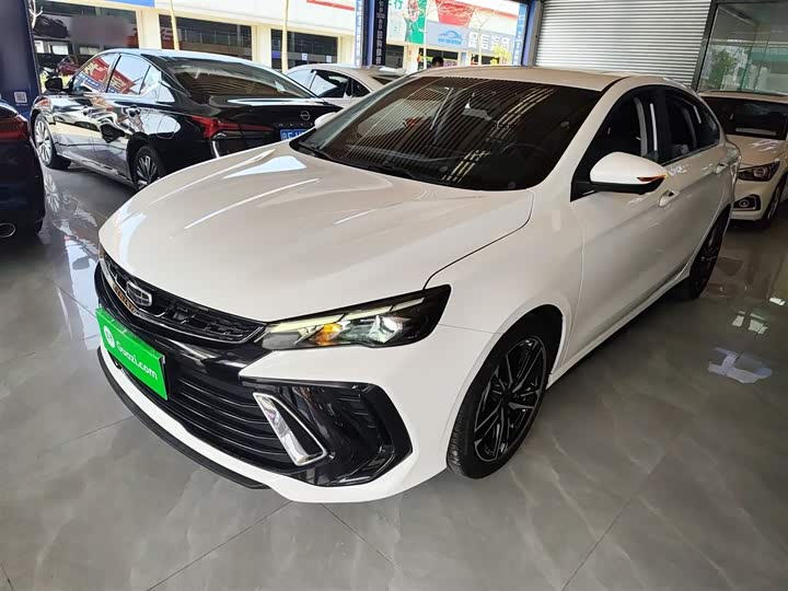 Фото 2 - Geely Binrui