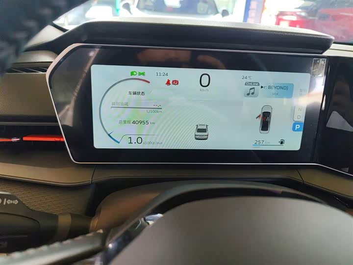 Фото 4 - Geely Binrui