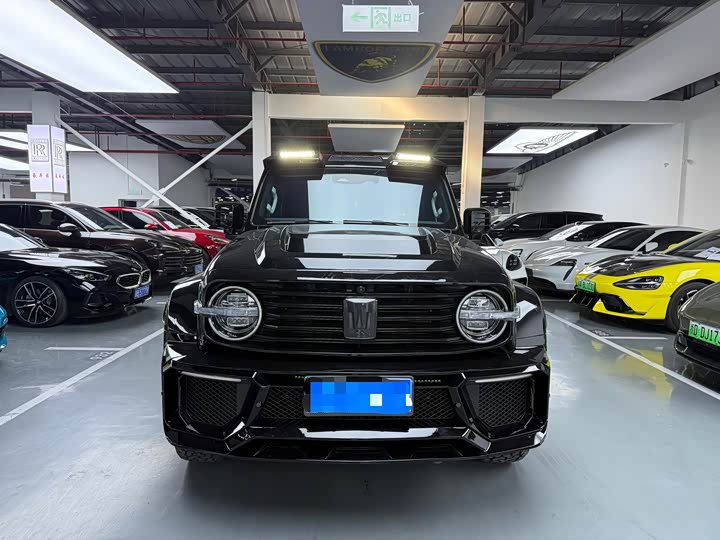 Фото 2 - Tank 300