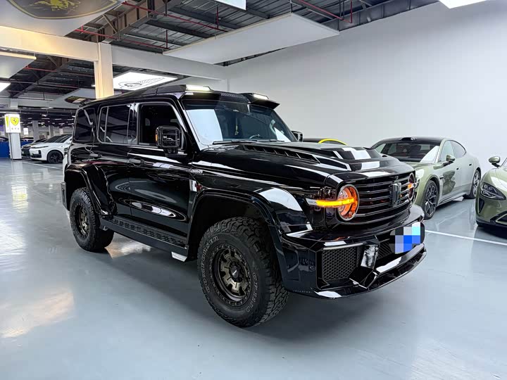 Фото 3 - Tank 300