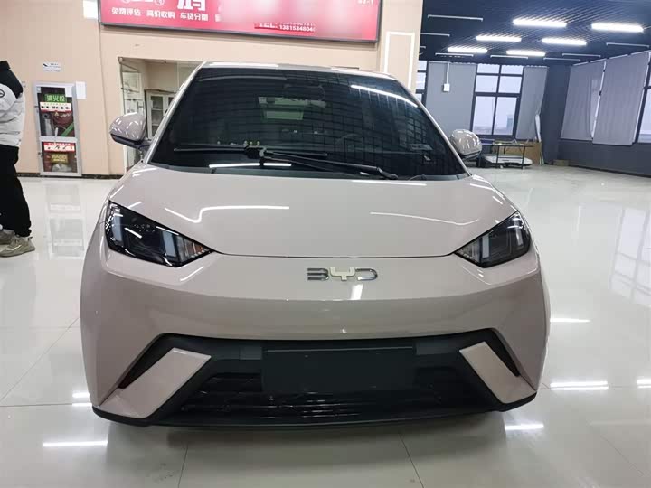 Фото 3 - BYD Seagull