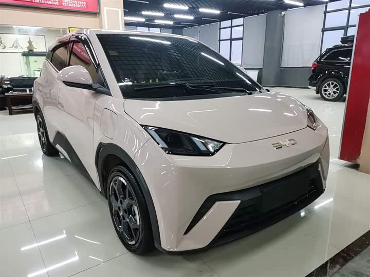 Фото 4 - BYD Seagull