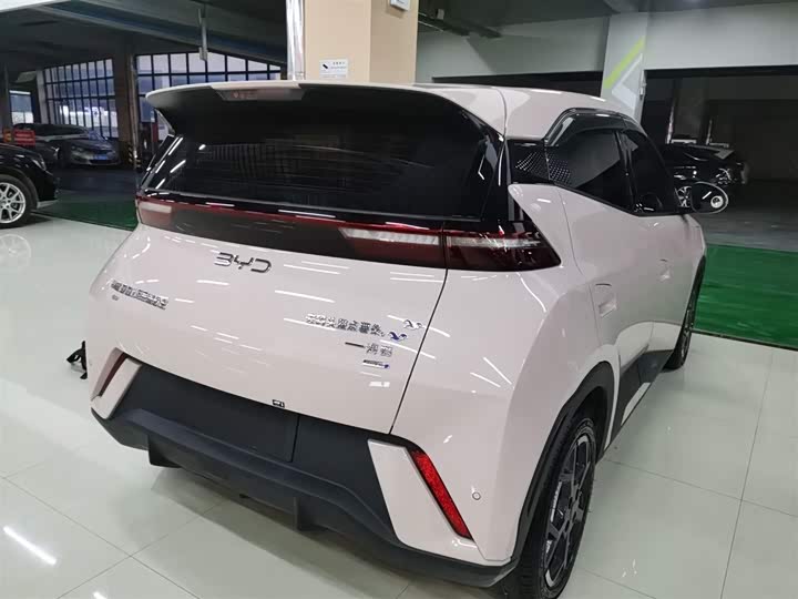 Фото 7 - BYD Seagull