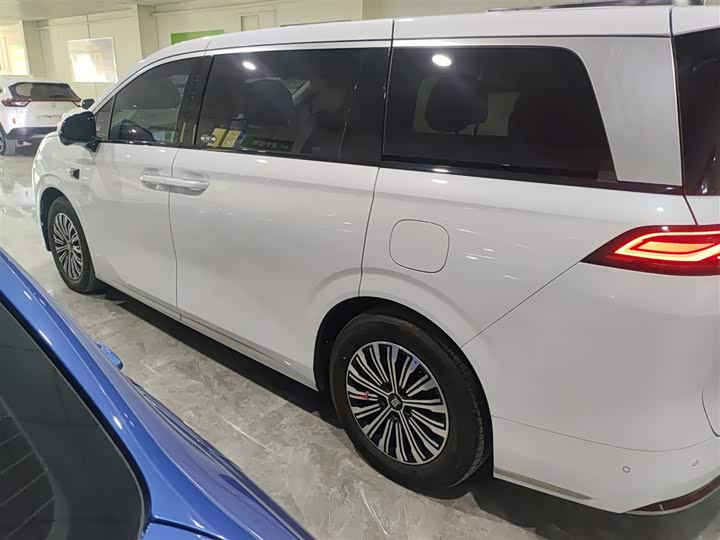 Фото 5 - BYD Xia