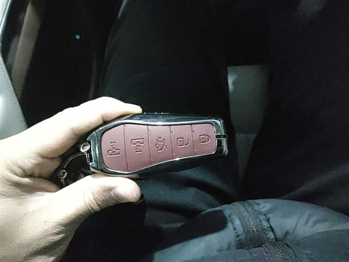 Фото 9 - BYD Xia