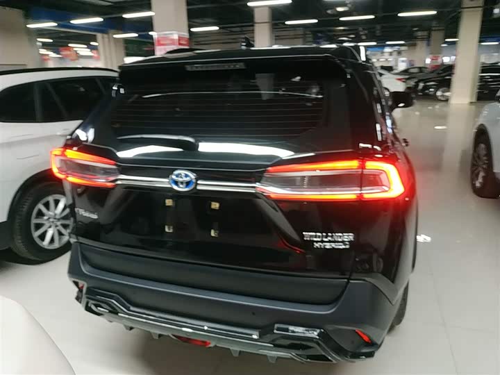 Фото 6 - Toyota Wildlander