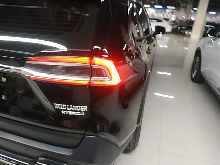 Фото 8 - Toyota Wildlander