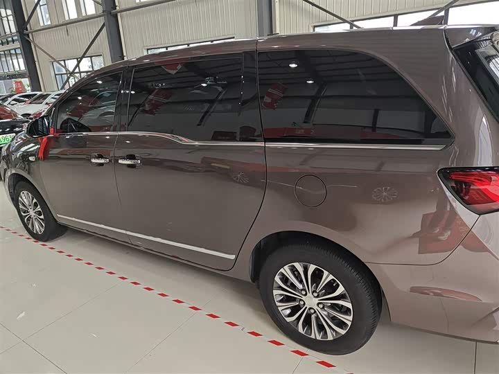 Фото 5 - Buick GL8 ES