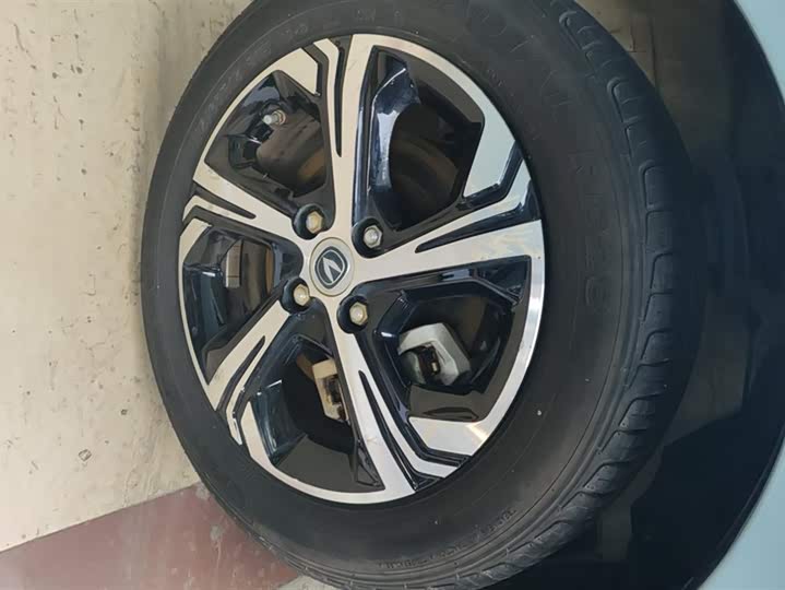 Фото 6 - Changan BenBen E-Star