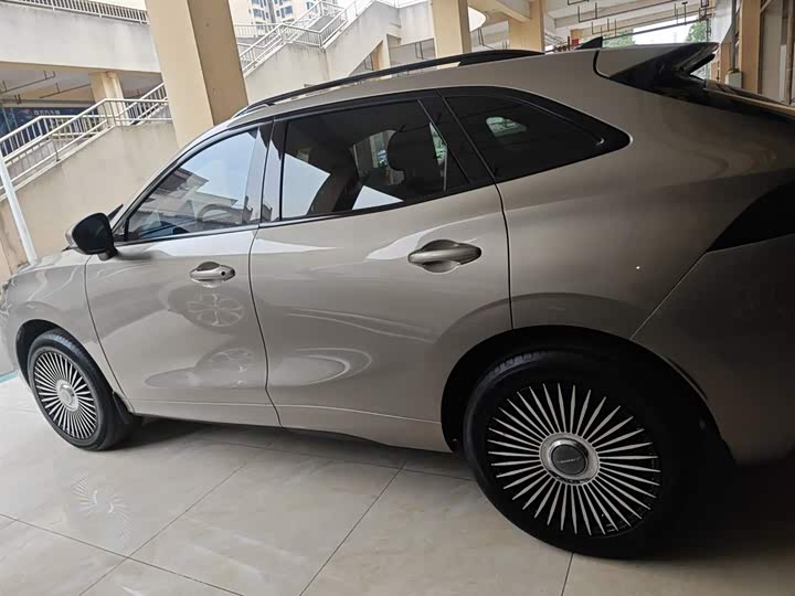 Фото 5 - Dongfeng Forthing T5 EVO