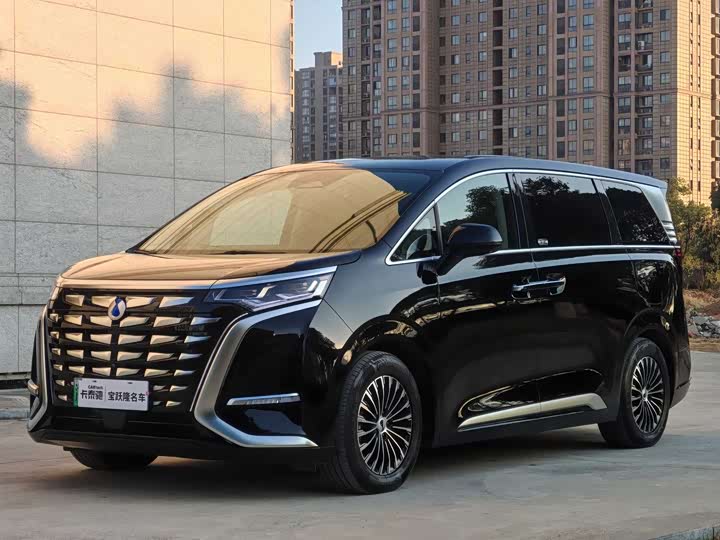 Фото 1 - Denza D9