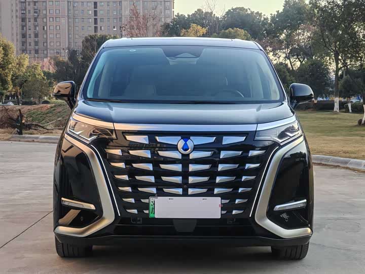 Фото 2 - Denza D9