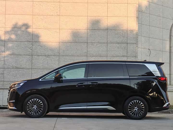 Фото 4 - Denza D9