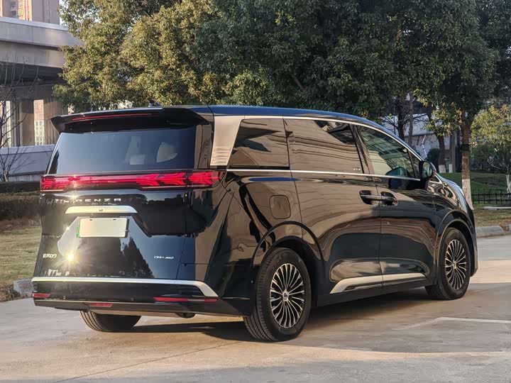 Фото 6 - Denza D9