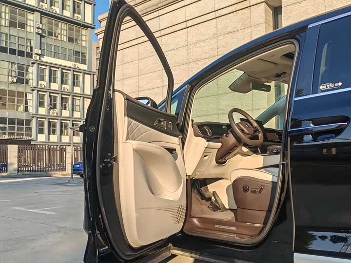 Фото 8 - Denza D9