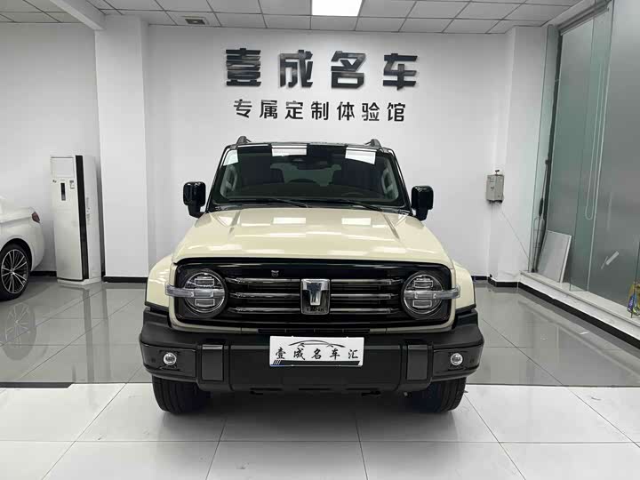 Фото 2 - Tank 300