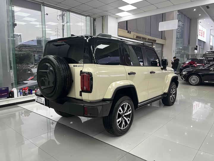 Фото 7 - Tank 300