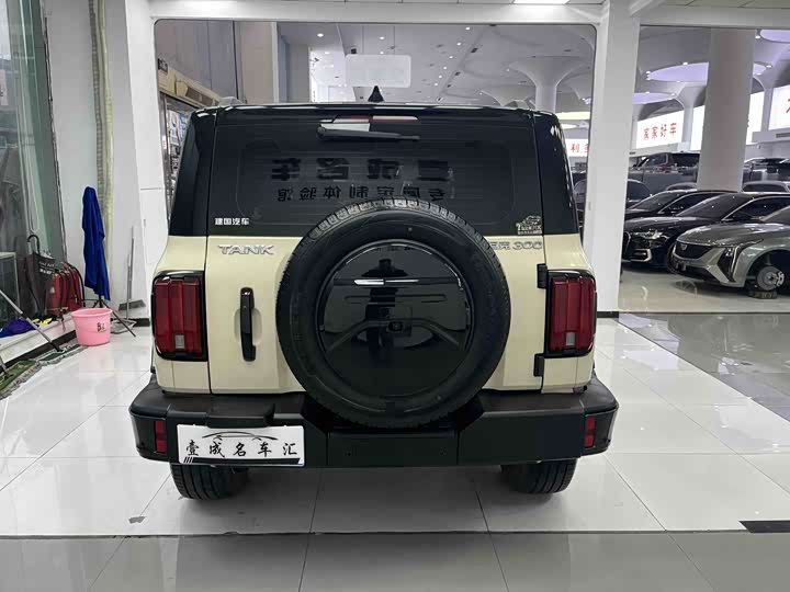 Фото 8 - Tank 300