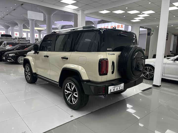 Фото 9 - Tank 300