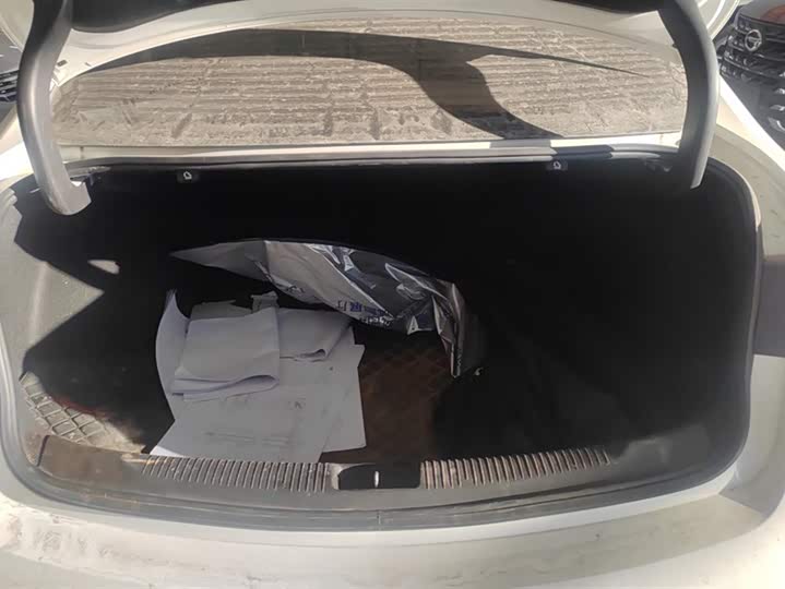 Фото 4 - Buick Regal