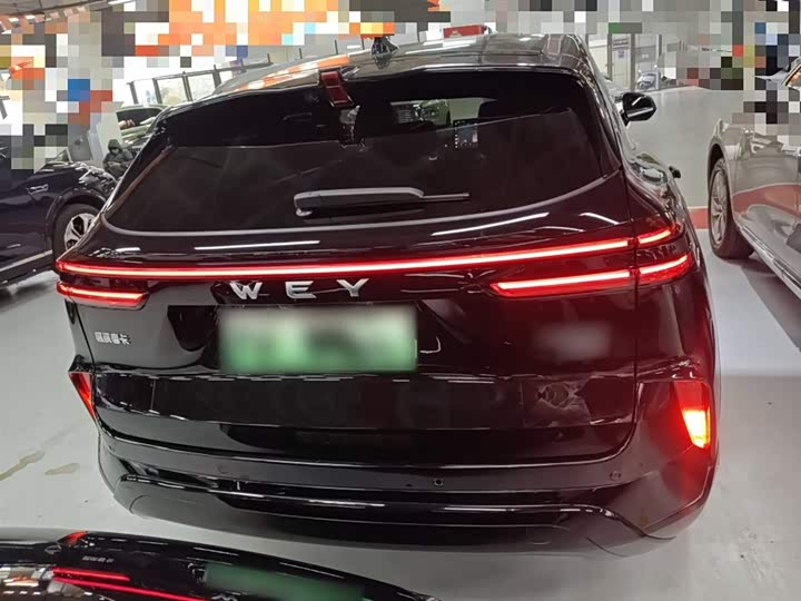 Фото 6 - Wey Mocca Hybrid