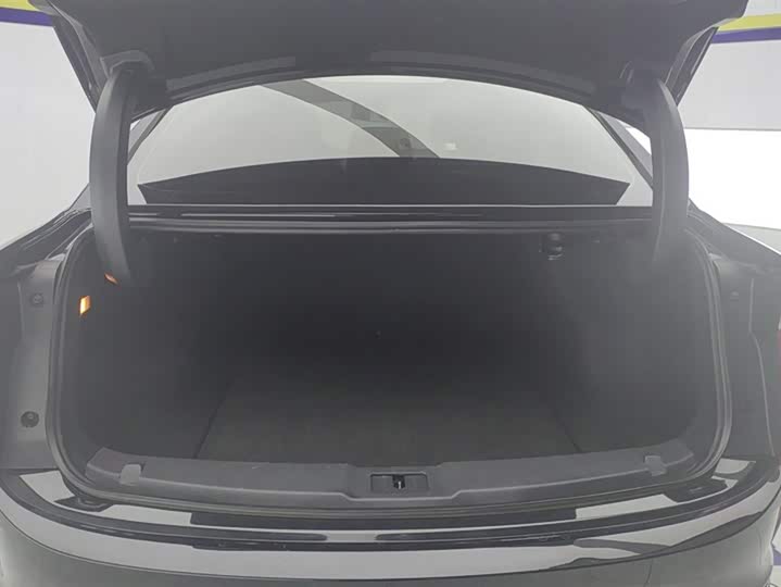 Фото 4 - Hongqi E-QM5