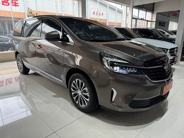 Фото 3 - Buick GL8 ES