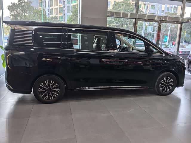 Фото 4 - Hongqi HQ9 Hybrid