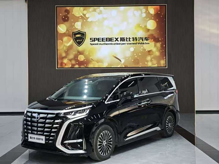 Фото 1 - Denza D9