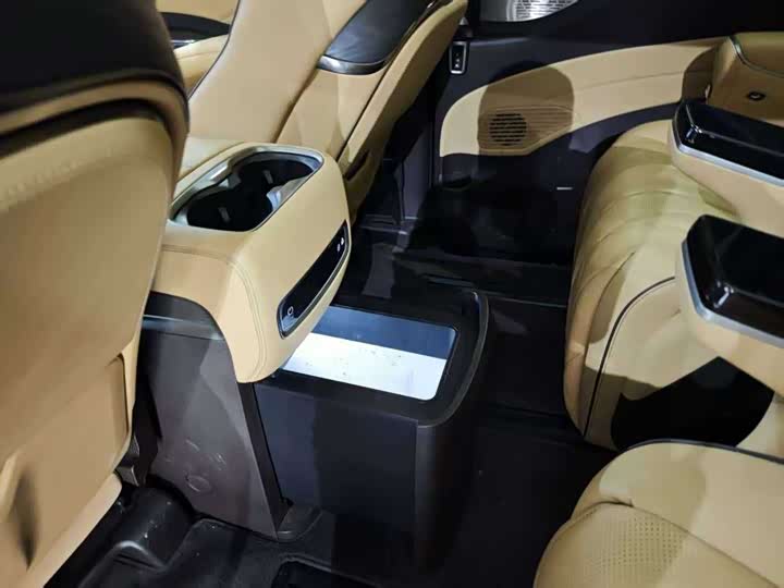 Фото 2 - Denza D9