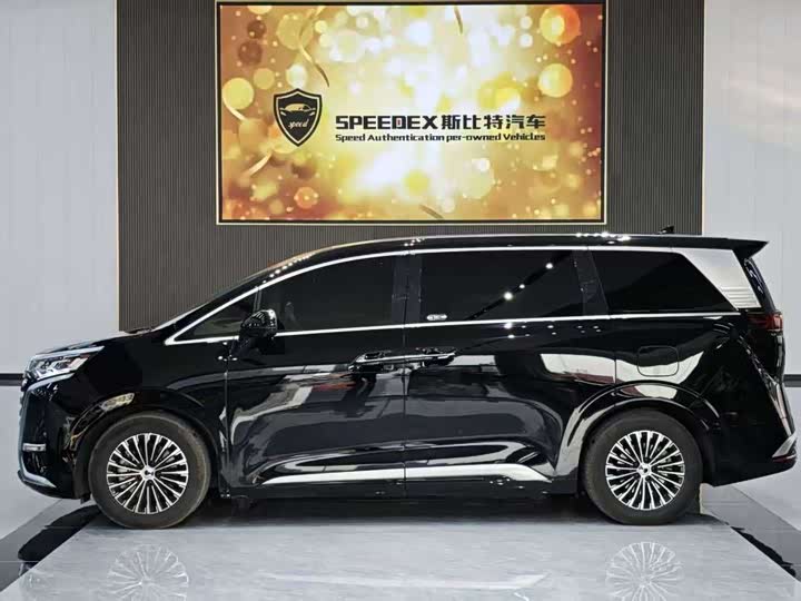 Фото 3 - Denza D9