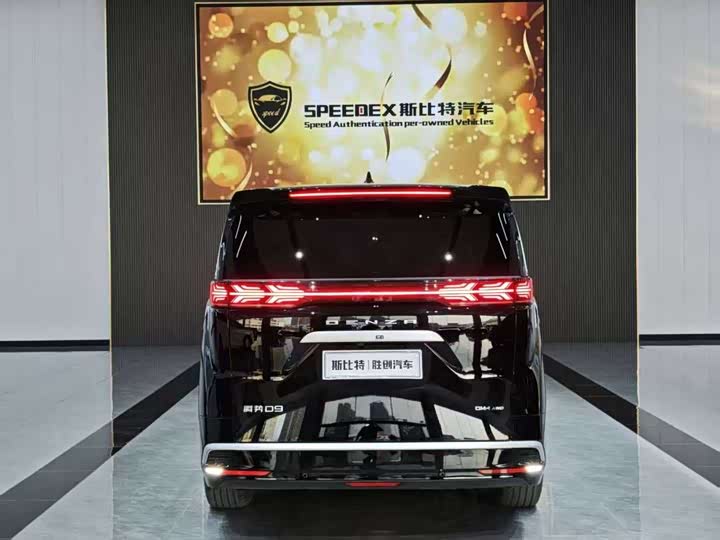 Фото 5 - Denza D9