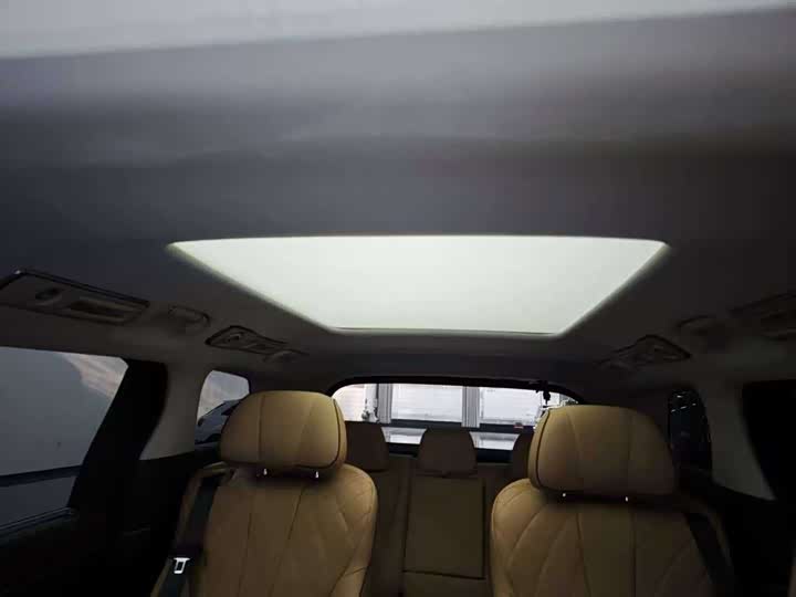 Фото 6 - Denza D9