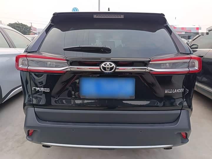 Фото 6 - Toyota Wildlander