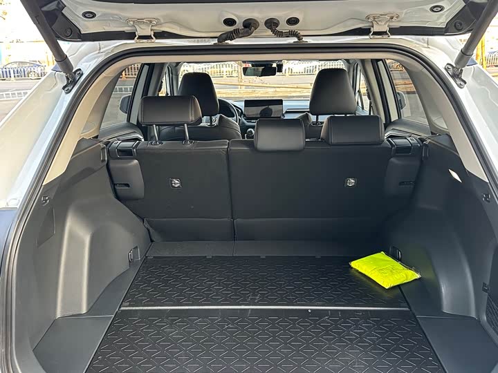 Фото 9 - Toyota Wildlander