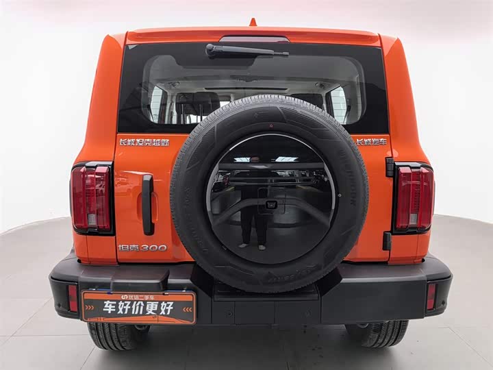 Фото 4 - Tank 300