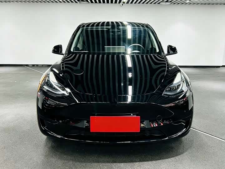 Фото 2 - Tesla Model Y