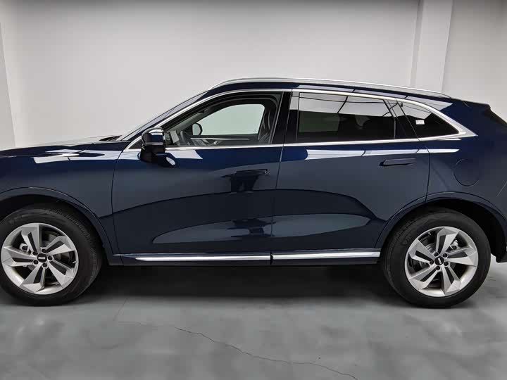 Фото 3 - Wey Mocca Hybrid