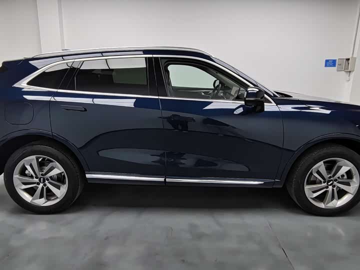 Фото 4 - Wey Mocca Hybrid