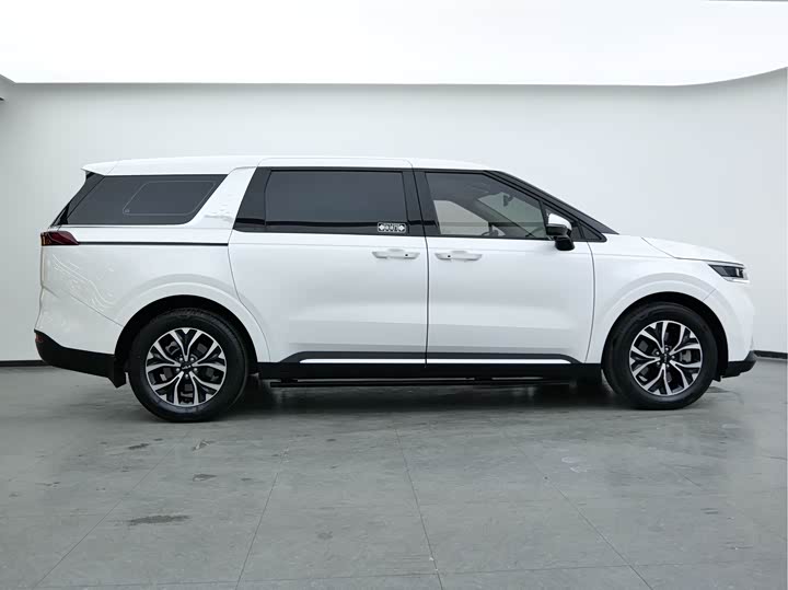 Фото 7 - Kia Carnival