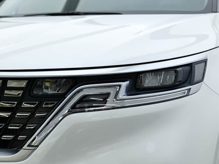 Фото 9 - Kia Carnival