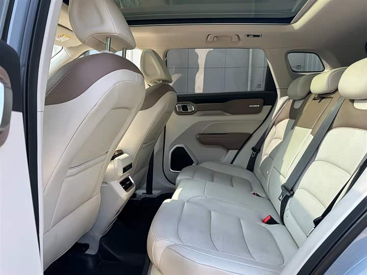 Фото 6 - Geely Icon