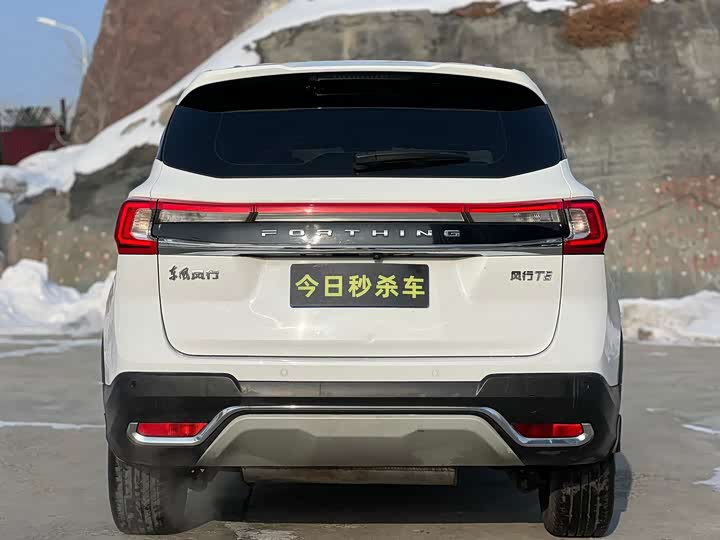Фото 8 - Dongfeng Forthing T5