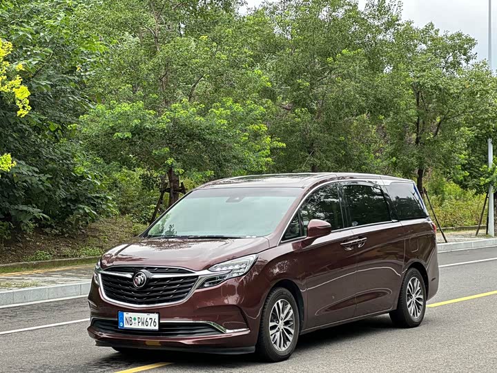 Фото 1 - Buick GL8 ES